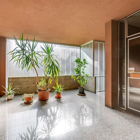 Zip House * Verona